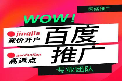 SEM推广代运营案例深度剖析