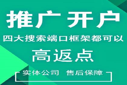 企业SEM服务实战案例解析